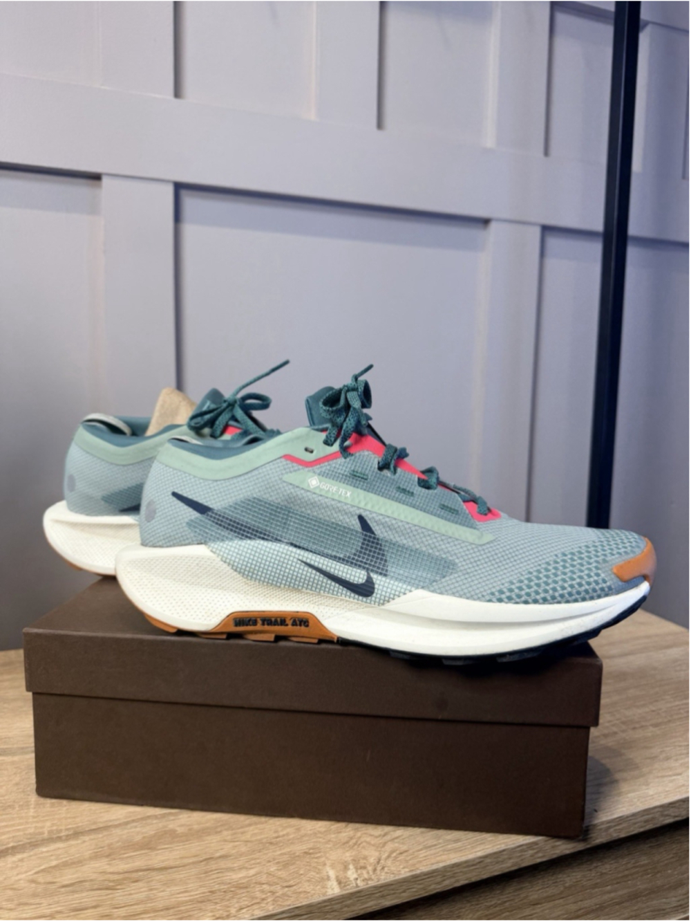 Size 10 Nike Pegasus Trail 5 GORE-TEX Jade Horizon